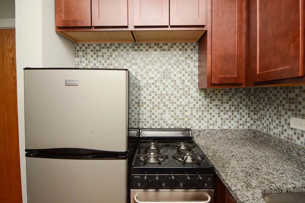 550 W Arlington Pl, ,  60614, USA 60614-unit#505-Chicago-IL