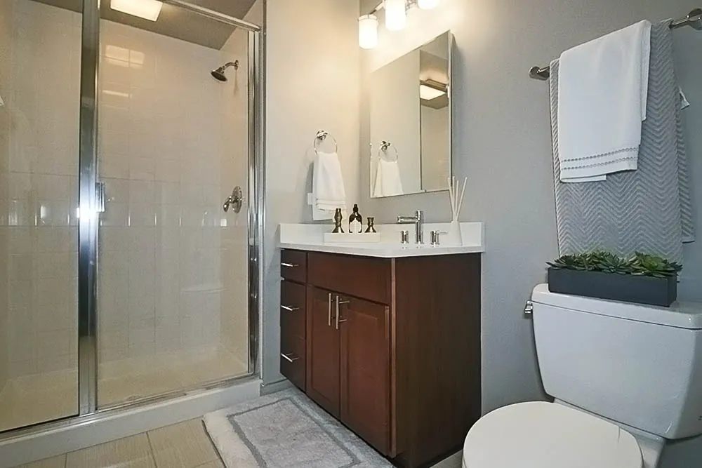 355 E Ohio St, ,  60611, USA 60611-unit#2/2 PENTHOUSE-Chicago-IL