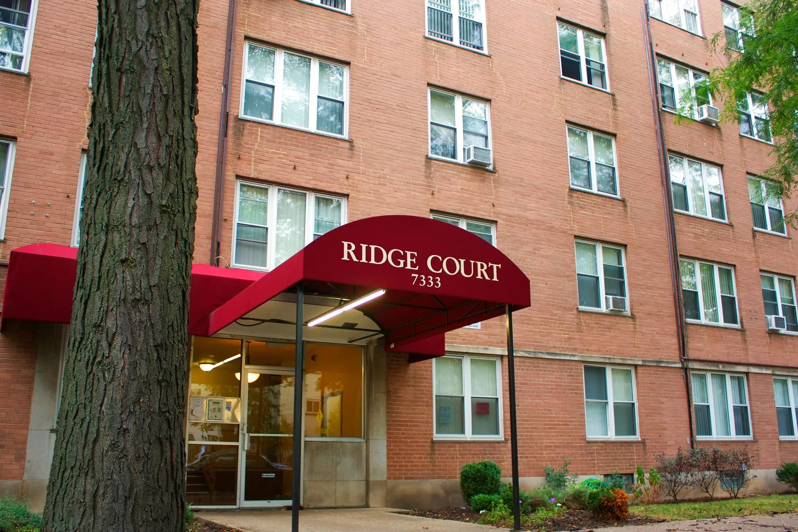 7333 N Ridge Blvd, , 60645, USA 60645-unit#105-Chicago-IL