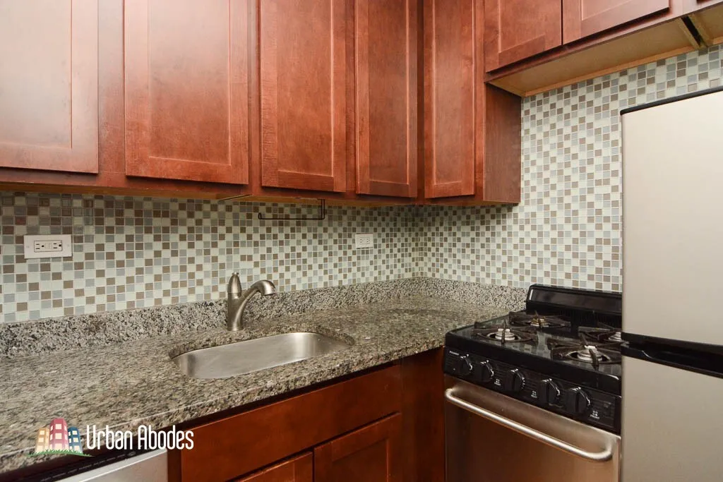 550 W Arlington Pl, , 60614, USA 60614-unit#307-Chicago-IL