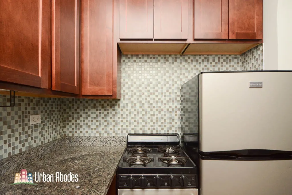550 W Arlington Pl, , 60614, USA 60614-unit#307-Chicago-IL