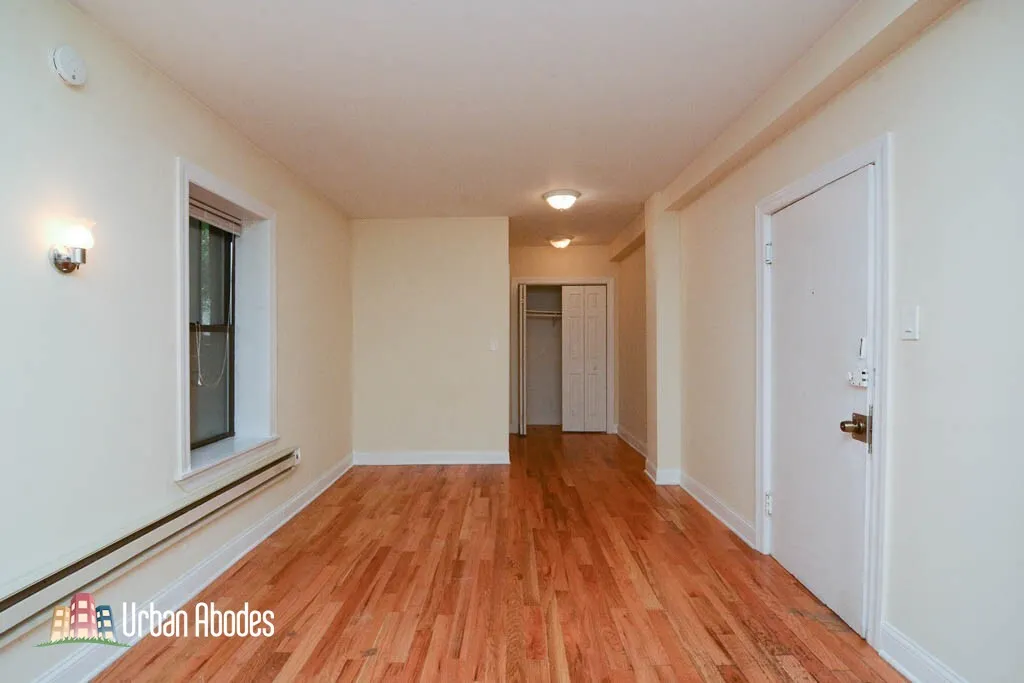 1347 N Dearborn St, ,  60610, USA 60610-unit#203-Chicago-IL