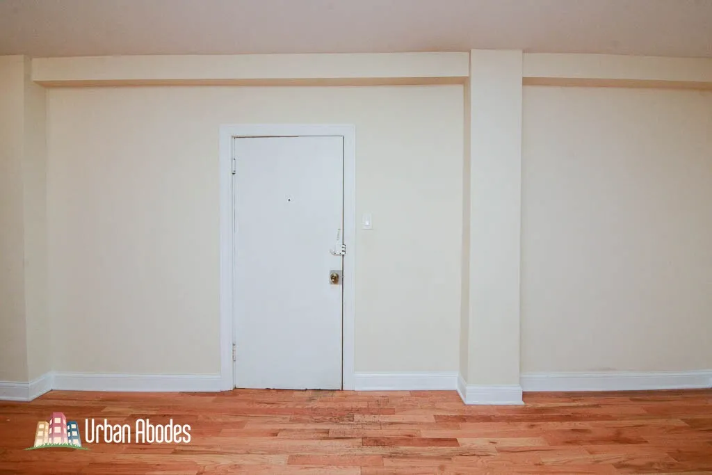 1347 N Dearborn St, ,  60610, USA 60610-unit#203-Chicago-IL