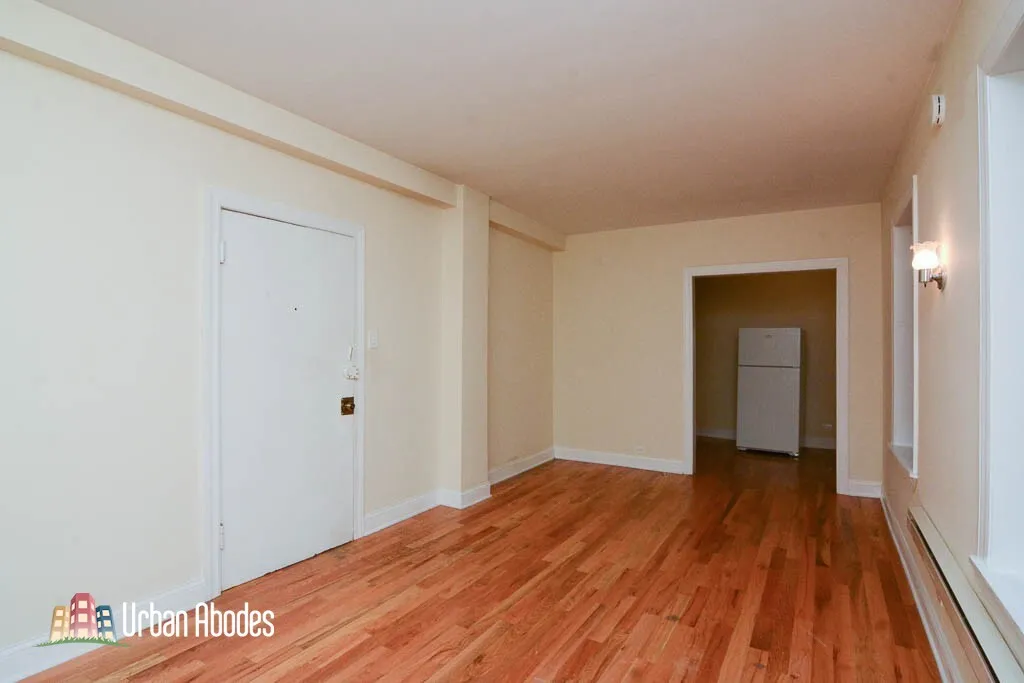 1347 N Dearborn St, ,  60610, USA 60610-unit#203-Chicago-IL