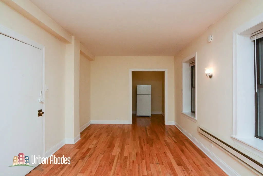 1347 N Dearborn St, ,  60610, USA 60610-unit#203-Chicago-IL