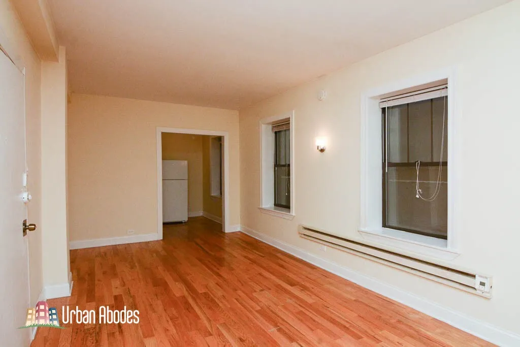 1347 N Dearborn St, ,  60610, USA 60610-unit#203-Chicago-IL