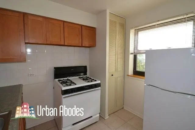510 W Briar Pl, ,  60657, USA 60657-unit#102-Chicago-IL