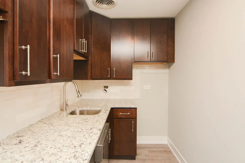 445 W Barry Ave, ,  60657, USA 60657-unit#431-Chicago-IL