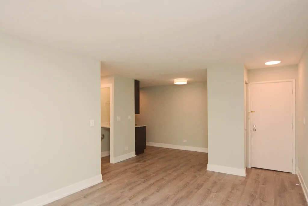 445 W Barry Ave, ,  60657, USA 60657-unit#431-Chicago-IL