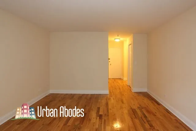 555 W Arlington Pl, ,  60614, USA 60614-unit#306-Chicago-IL