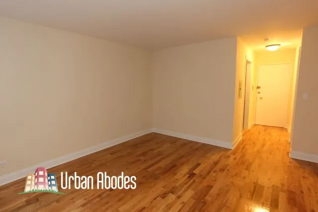 555 W Arlington Pl, ,  60614, USA 60614-unit#306-Chicago-IL