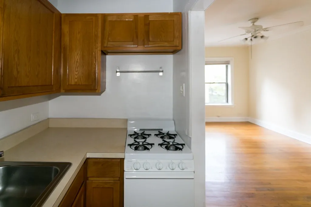 1164 N Dearborn St, , 60610, USA 60610-unit#415-Chicago-IL