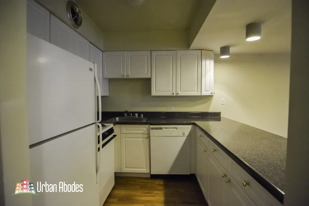 1220 N La Salle Dr, ,  60610, USA 60610-unit#4E-Chicago-IL