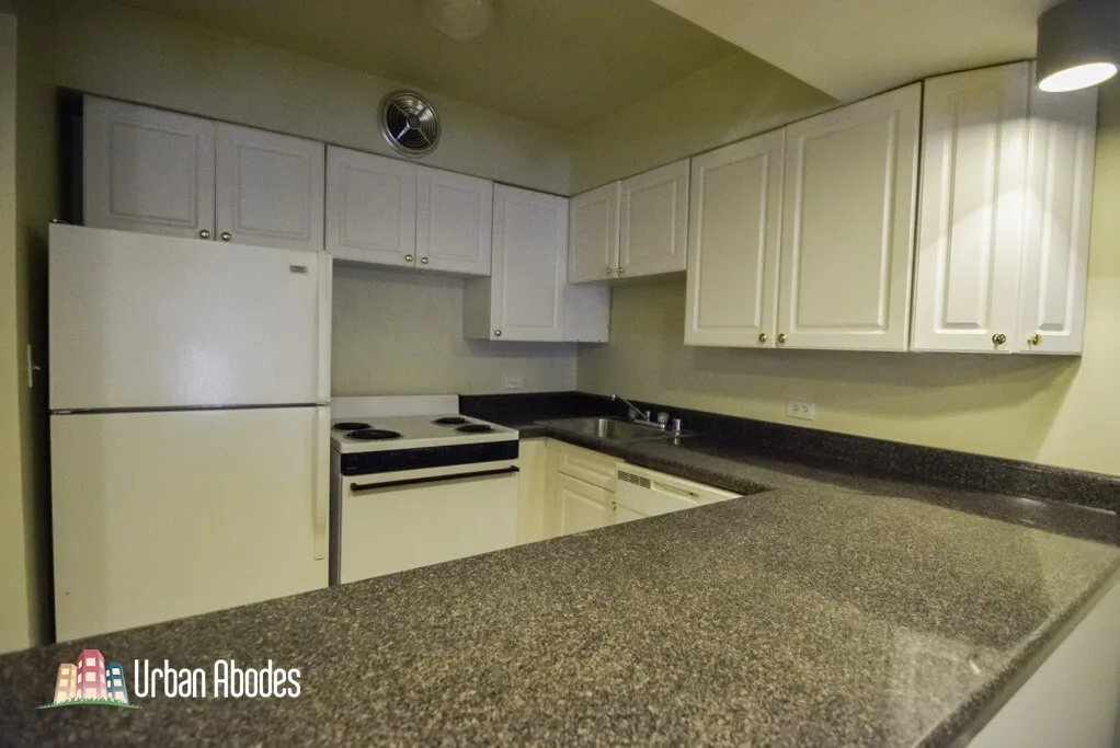 1220 N La Salle Dr, ,  60610, USA 60610-unit#4E-Chicago-IL