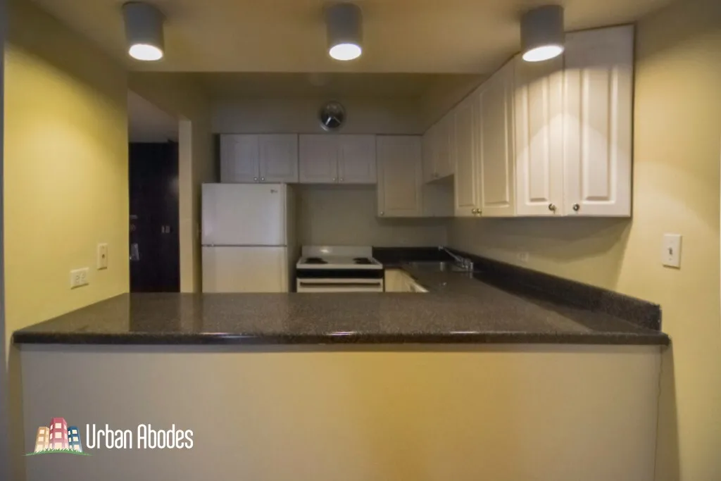 1220 N La Salle Dr, ,  60610, USA 60610-unit#4E-Chicago-IL