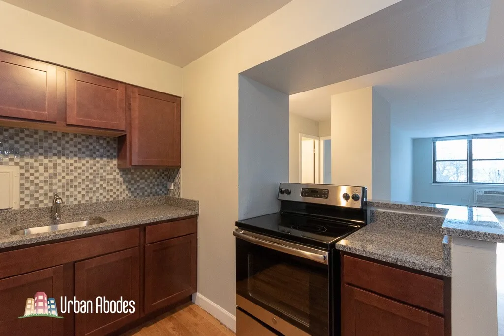1446 N Dearborn St, ,  60610, USA 60610-unit#2A-Chicago-IL