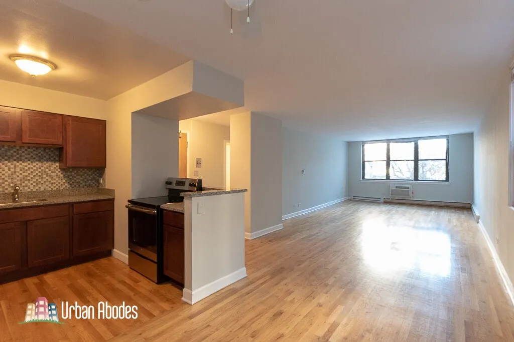 1446 N Dearborn St, ,  60610, USA 60610-unit#2A-Chicago-IL