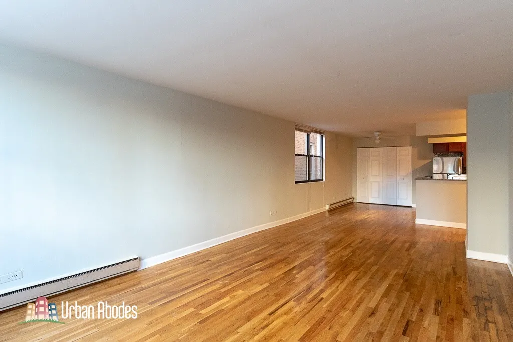 1446 N Dearborn St, ,  60610, USA 60610-unit#2A-Chicago-IL