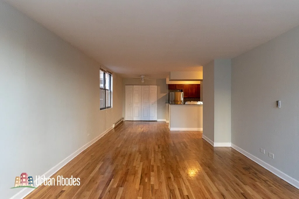 1446 N Dearborn St, ,  60610, USA 60610-unit#2A-Chicago-IL