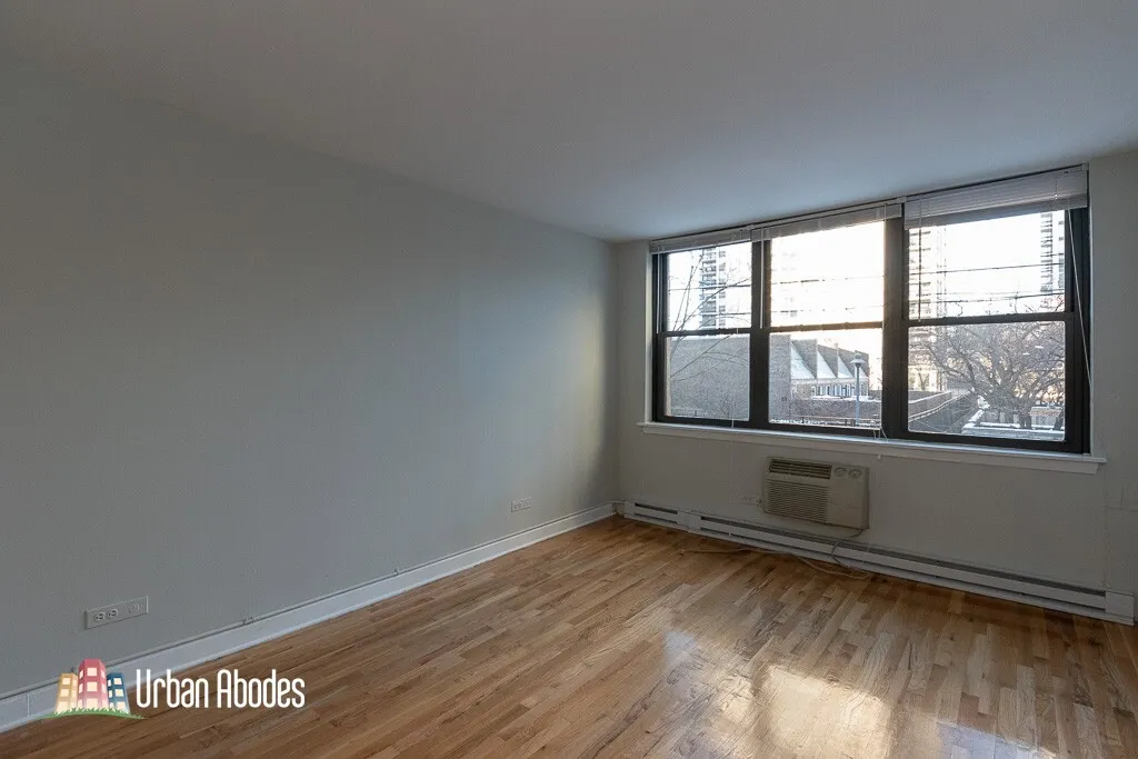 1446 N Dearborn St, ,  60610, USA 60610-unit#2A-Chicago-IL