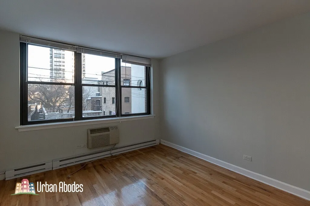1446 N Dearborn St, ,  60610, USA 60610-unit#2A-Chicago-IL