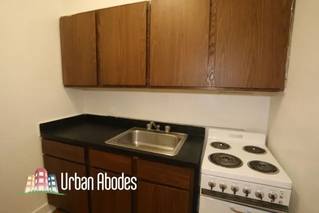 536 W Arlington Pl, ,  60614, USA 60614-unit#217-Chicago-IL
