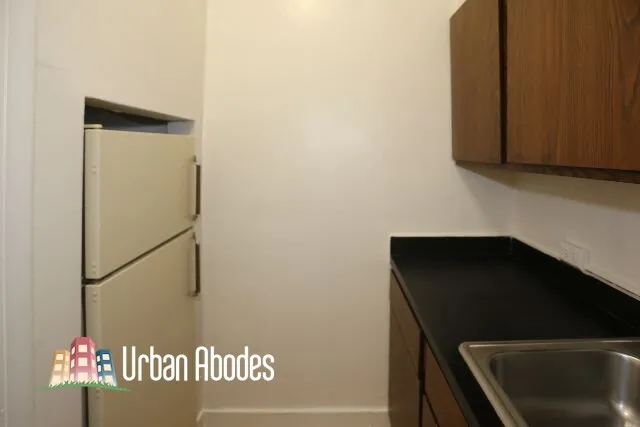 536 W Arlington Pl, ,  60614, USA 60614-unit#217-Chicago-IL