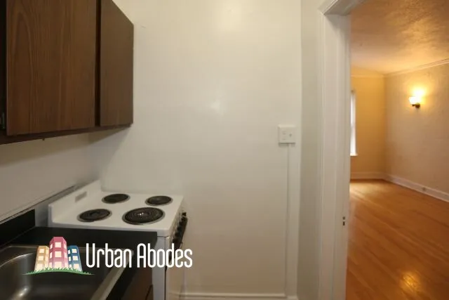 536 W Arlington Pl, ,  60614, USA 60614-unit#217-Chicago-IL