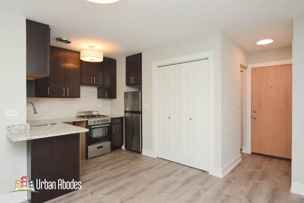 445 W Barry Ave, ,  60657, USA 60657-unit#226-Chicago-IL