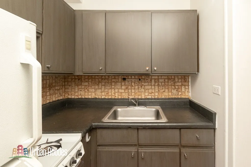 739 W Belmont Ave, ,  60657, USA 60657-unit#307-Chicago-IL
