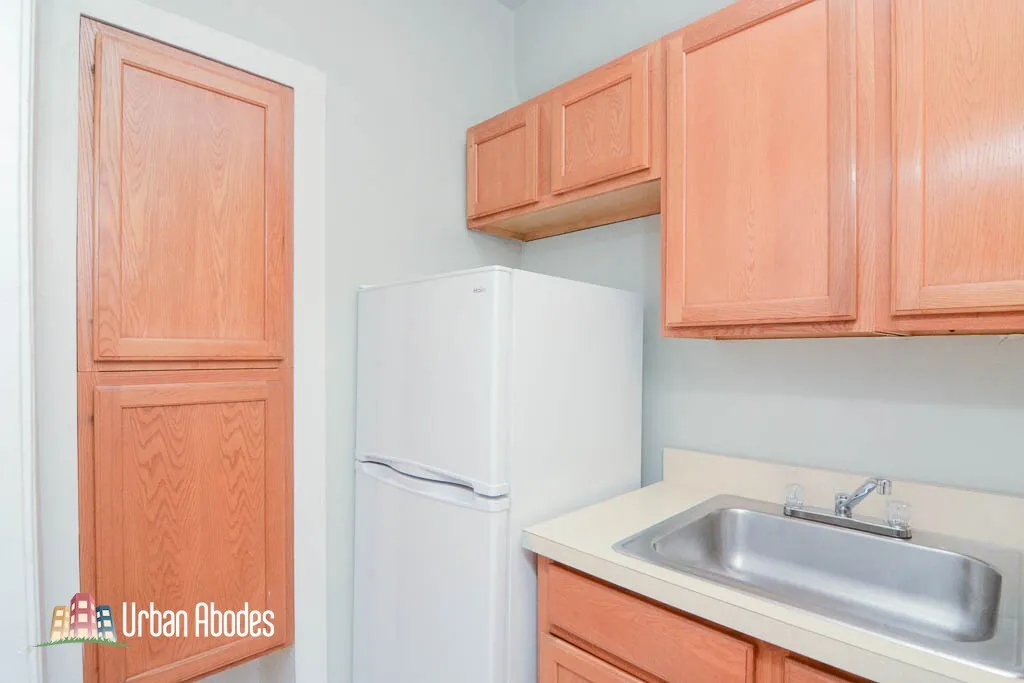 1164 N Dearborn St, , 60610, USA 60610-unit#409-Chicago-IL