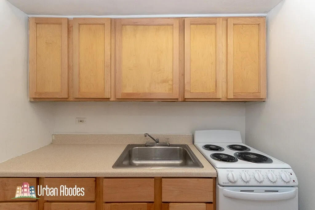 536 W Arlington Pl, , 60614, USA 60614-unit#110-Chicago-IL