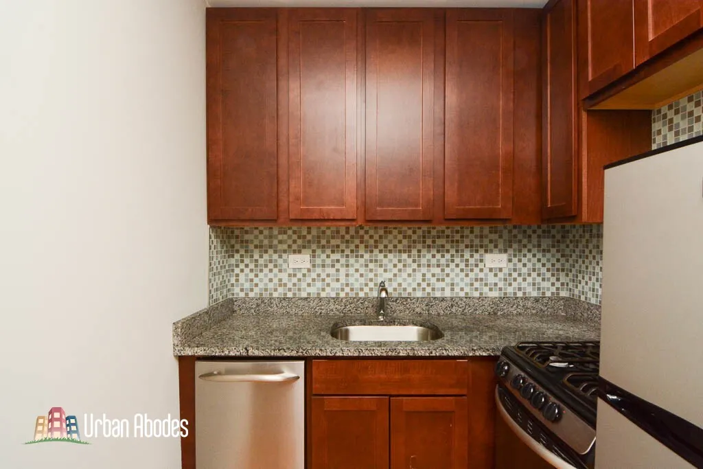 555 W Arlington Pl, ,  60614, USA 60614-unit#307-Chicago-IL