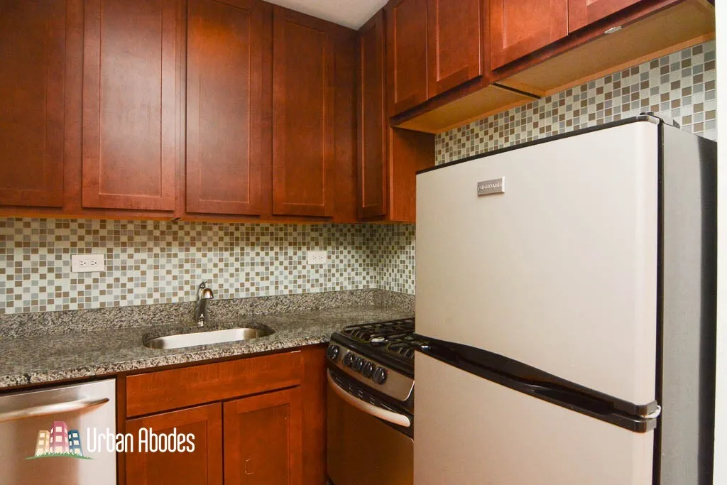 555 W Arlington Pl, ,  60614, USA 60614-unit#307-Chicago-IL