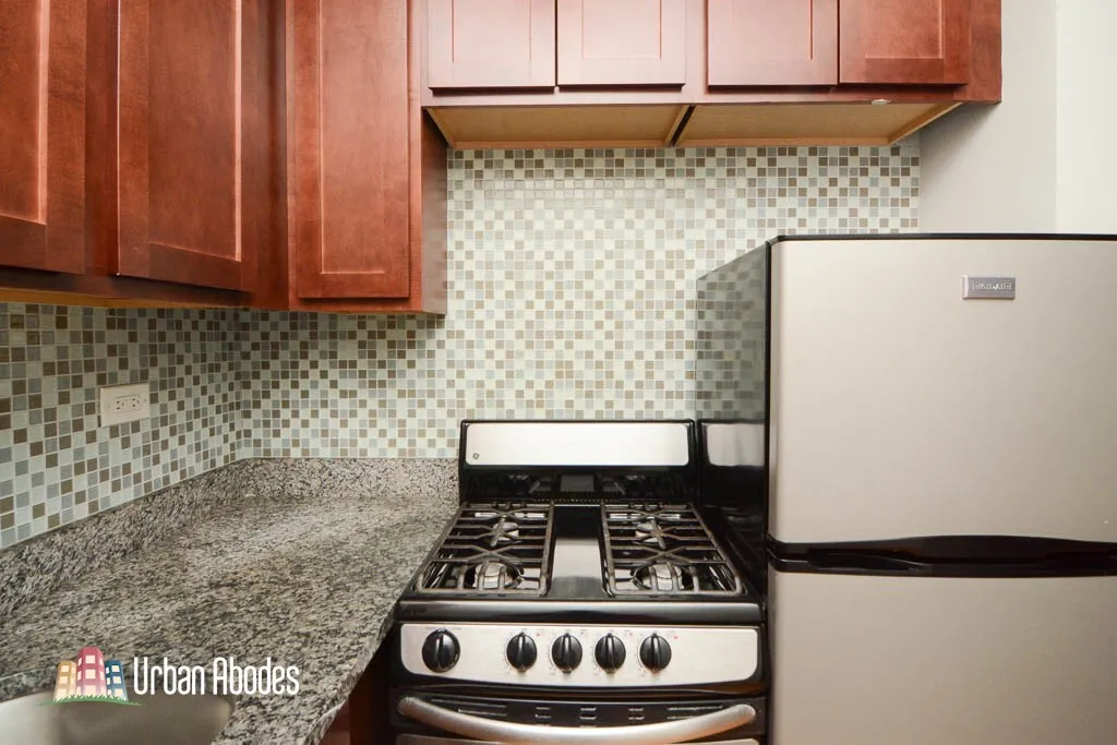 555 W Arlington Pl, ,  60614, USA 60614-unit#307-Chicago-IL