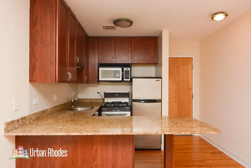 625 W Wrightwood Ave, ,  60614, USA 60614-unit#501-Chicago-IL