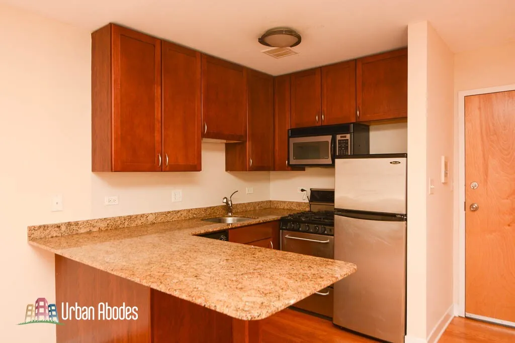 625 W Wrightwood Ave, ,  60614, USA 60614-unit#501-Chicago-IL