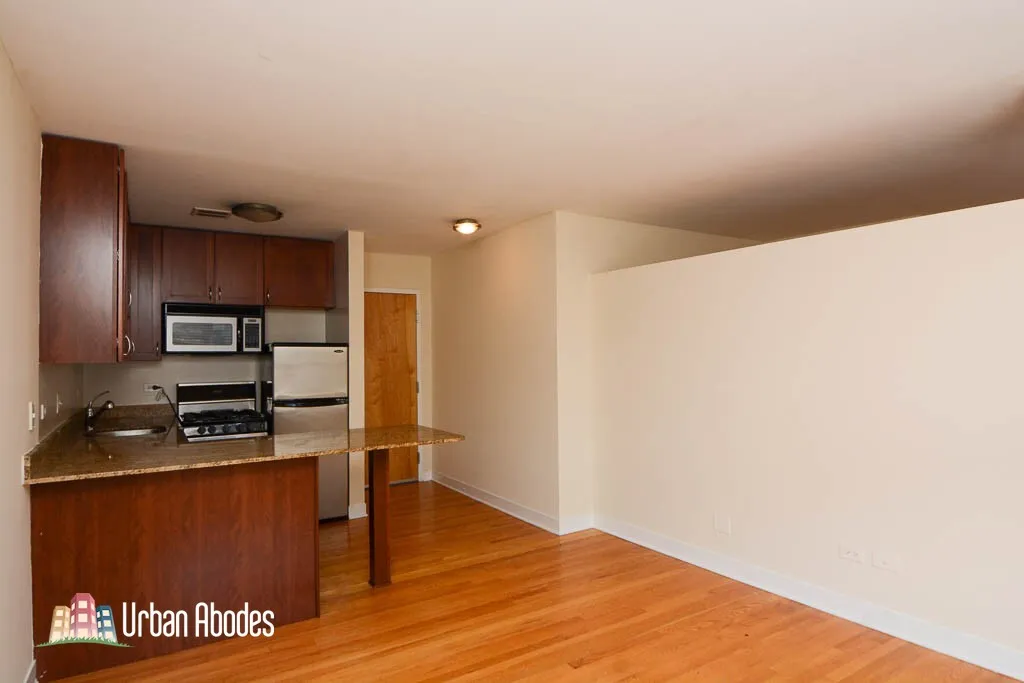 625 W Wrightwood Ave, ,  60614, USA 60614-unit#501-Chicago-IL