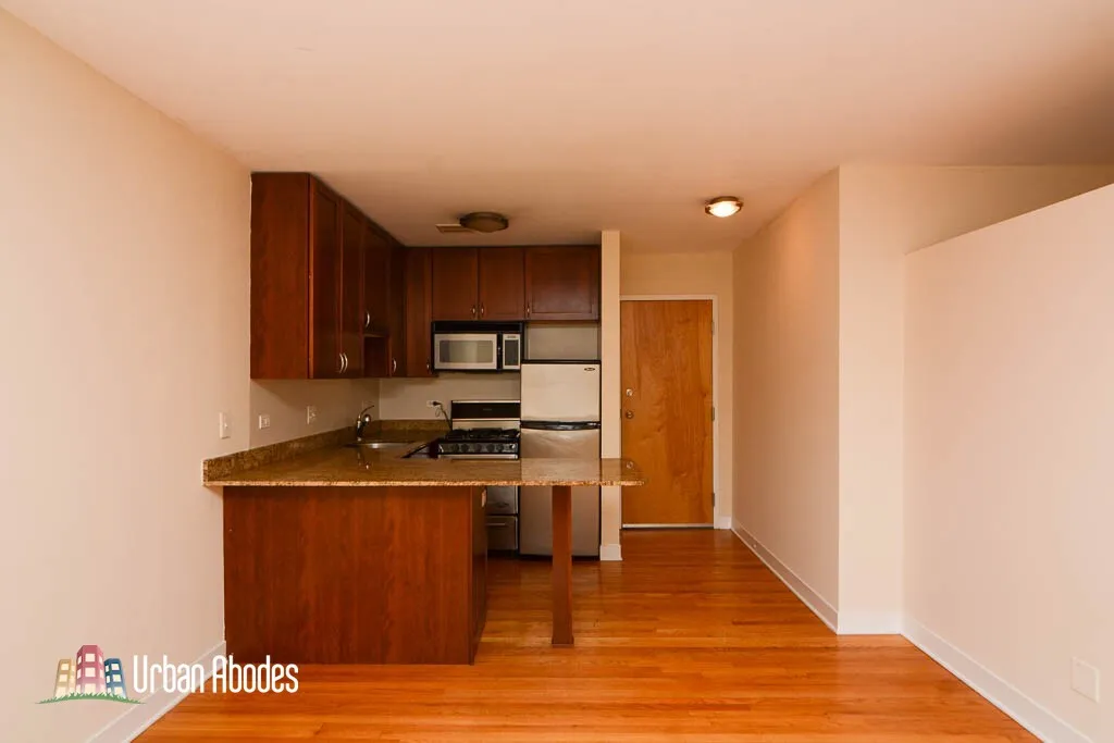 625 W Wrightwood Ave, ,  60614, USA 60614-unit#501-Chicago-IL