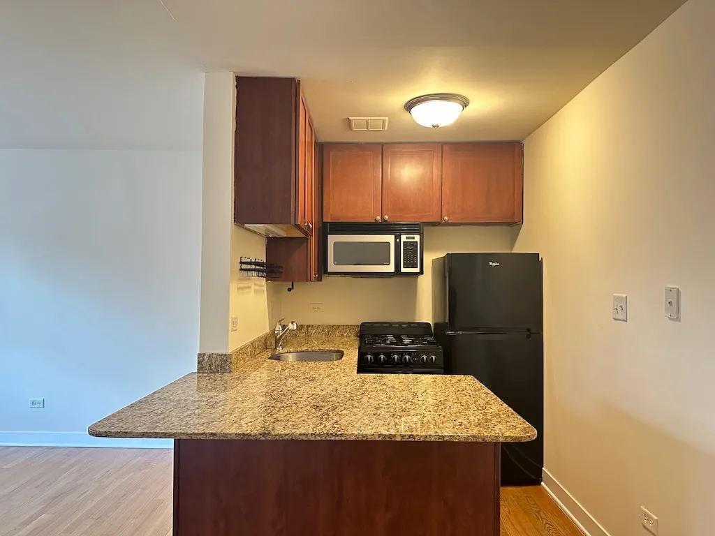 625 W Wrightwood Ave, ,  60614, USA 60614-unit#305-Chicago-IL