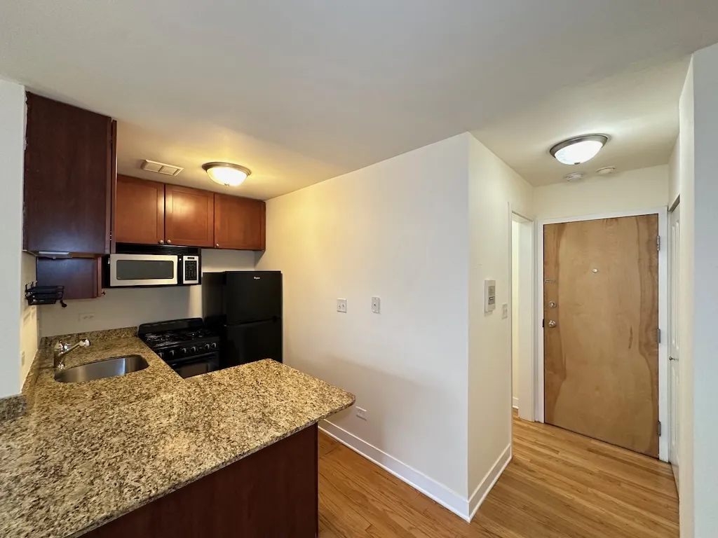 625 W Wrightwood Ave, ,  60614, USA 60614-unit#305-Chicago-IL