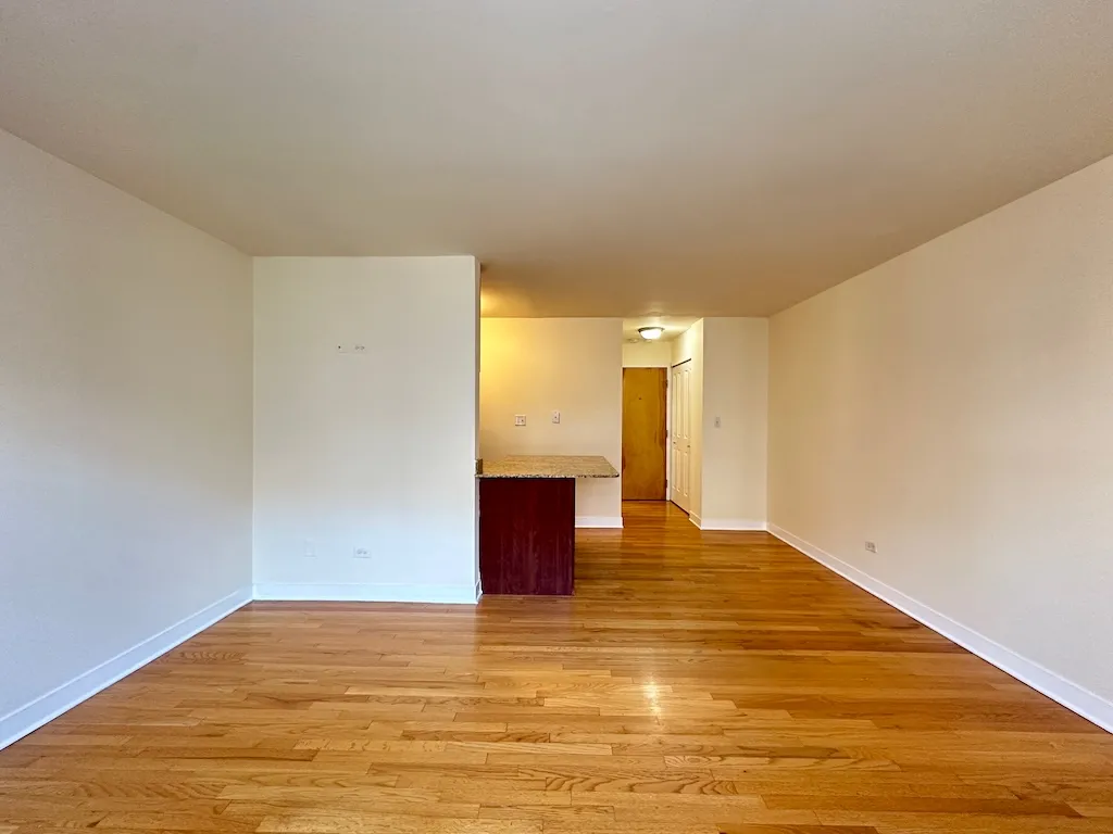 625 W Wrightwood Ave, ,  60614, USA 60614-unit#305-Chicago-IL