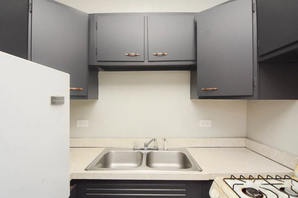 1347 N Dearborn St, , 60610, USA 60610-unit#604-Chicago-IL