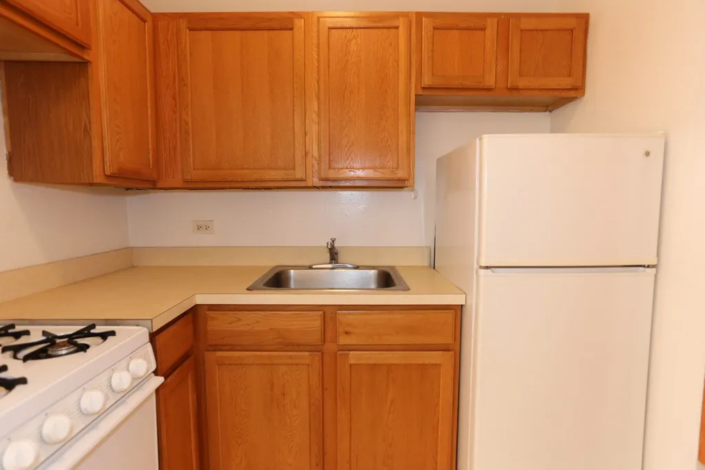 1164 N Dearborn St, , 60610, USA 60610-unit#313-Chicago-IL