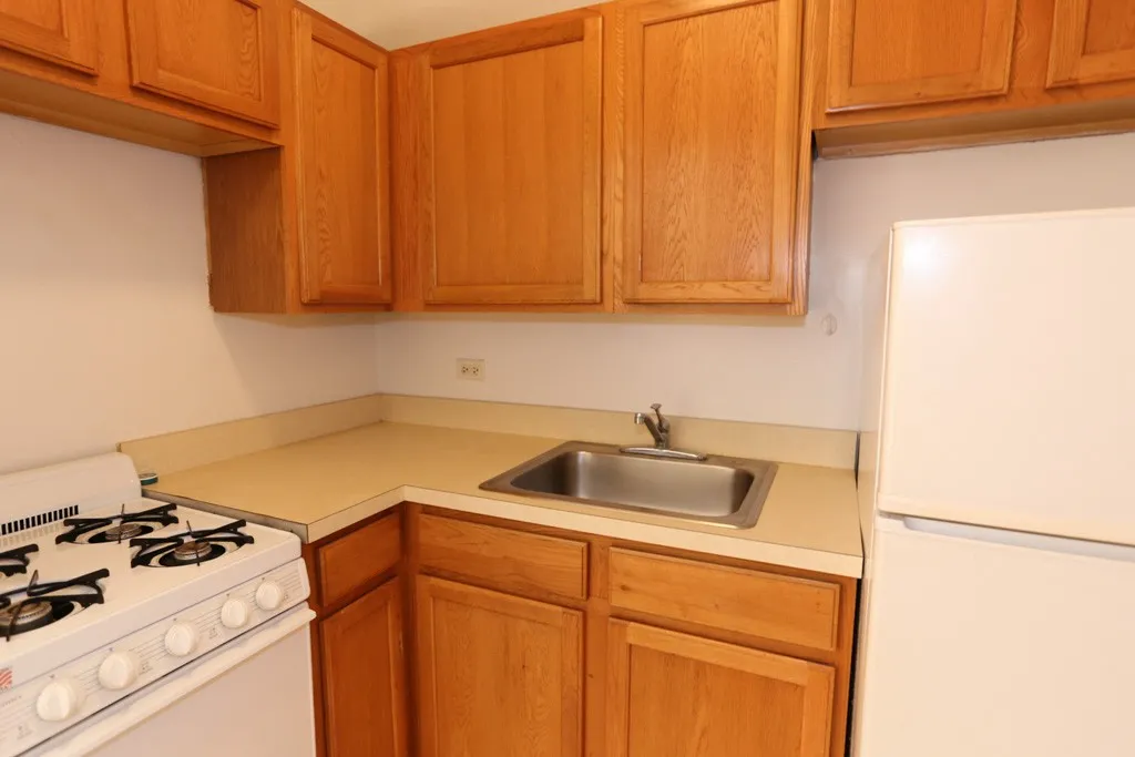 1164 N Dearborn St, , 60610, USA 60610-unit#313-Chicago-IL