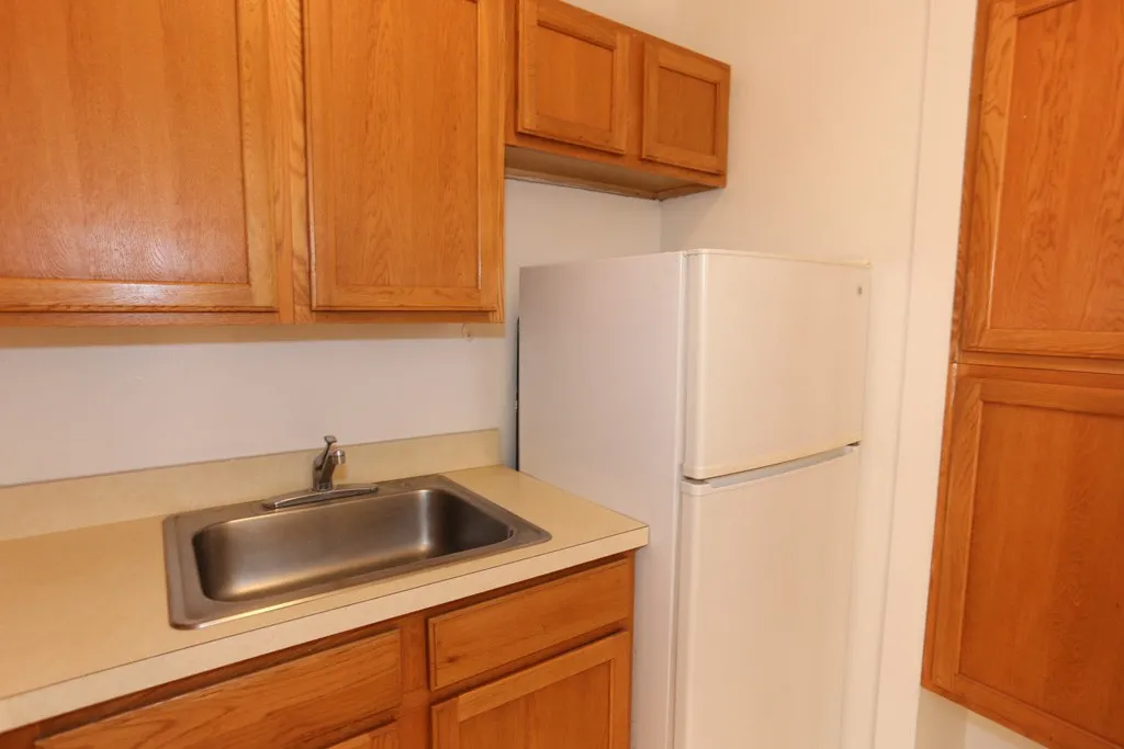 1164 N Dearborn St, , 60610, USA 60610-unit#313-Chicago-IL