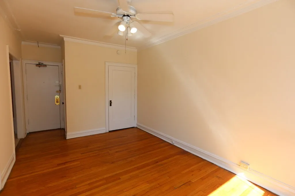 1164 N Dearborn St, , 60610, USA 60610-unit#313-Chicago-IL