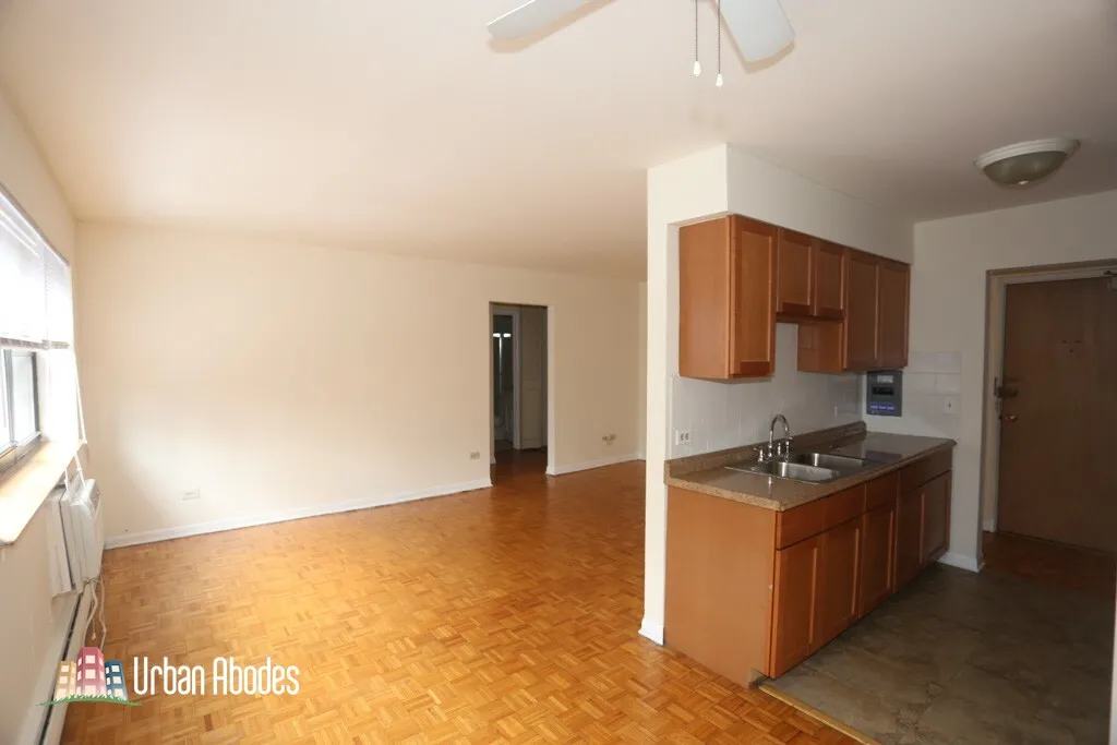 510 W Briar Pl, ,  60657, USA 60657-unit#207-Chicago-IL