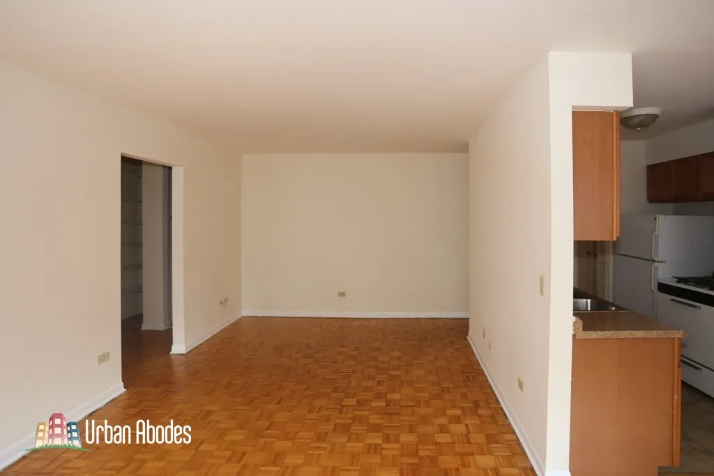 510 W Briar Pl, ,  60657, USA 60657-unit#207-Chicago-IL