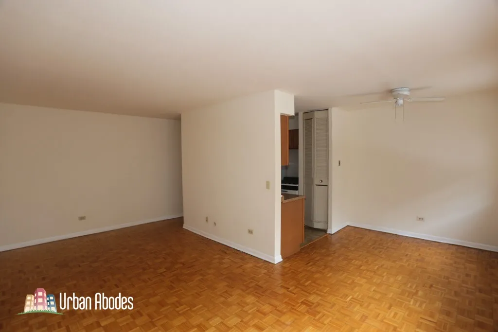 510 W Briar Pl, ,  60657, USA 60657-unit#207-Chicago-IL